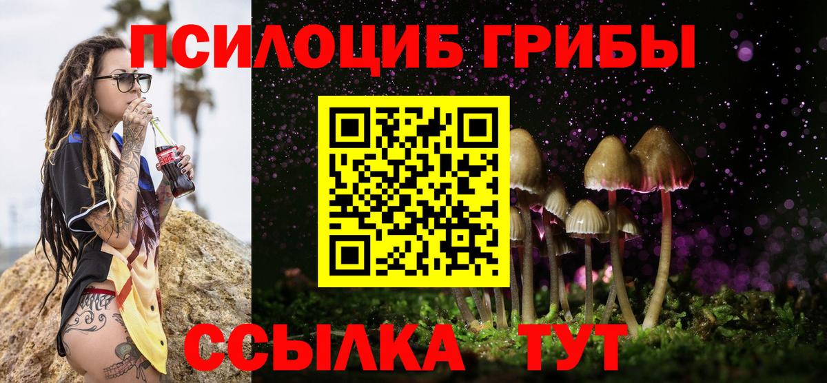 Галлюциногенные грибы GOLDEN TEACHER Каменка