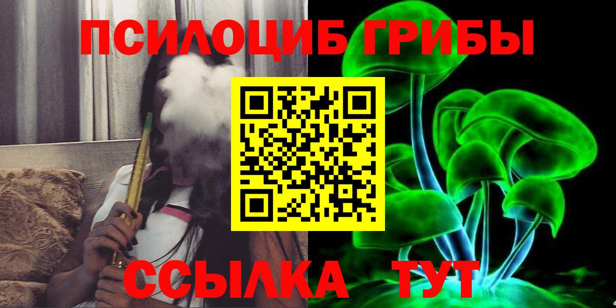Каменка  Галлюциногенные грибы MAGIC MUSHROOMS  Вход с VPN  Галлюциногенные грибы Psilocybine cubensis 
